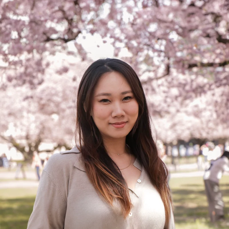 Stella under cherry blossoms at the University of Washington