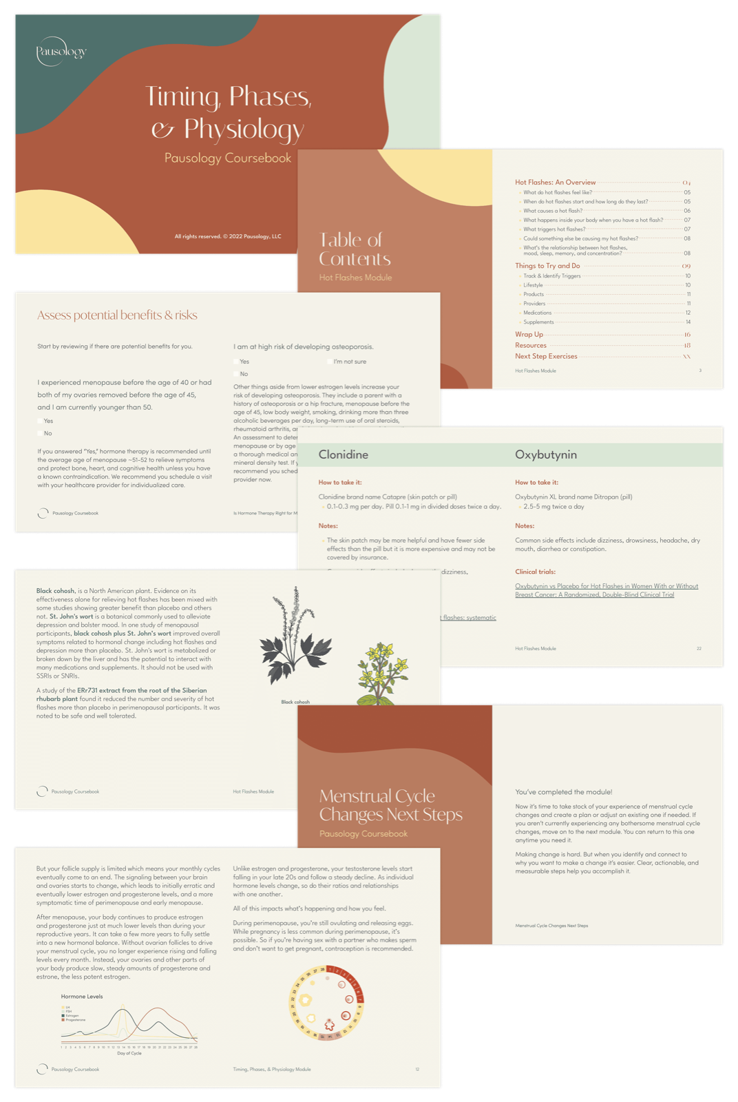 Spreads from the 350-page Pausology course book